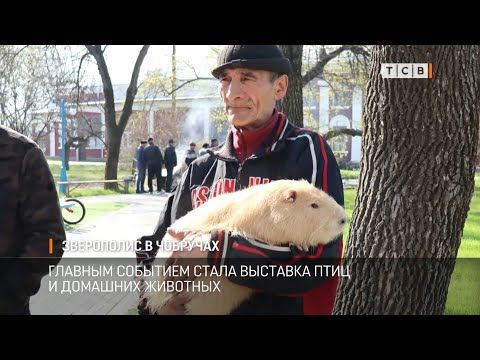 � ���� ������� � ��� ����������� ������� �������� �����. ������� �������� ����� �������� ���� � �������� ��������. ���������� ������� ������� � ��������� ��������, �������� �������, �������� � �����