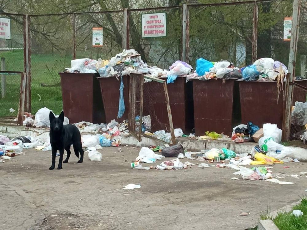 ����� VS �������� ������ ������ - 1:0