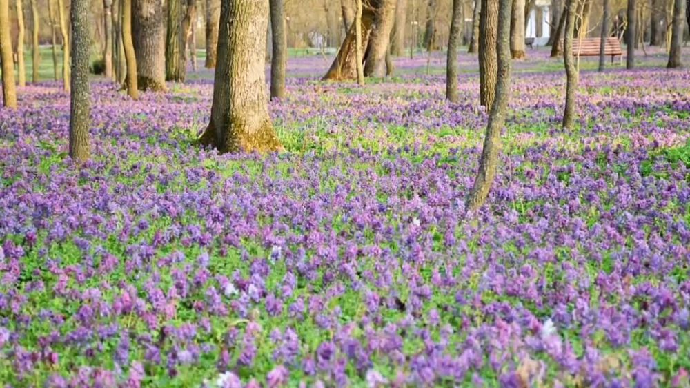 �������� ��������� ���������� �����