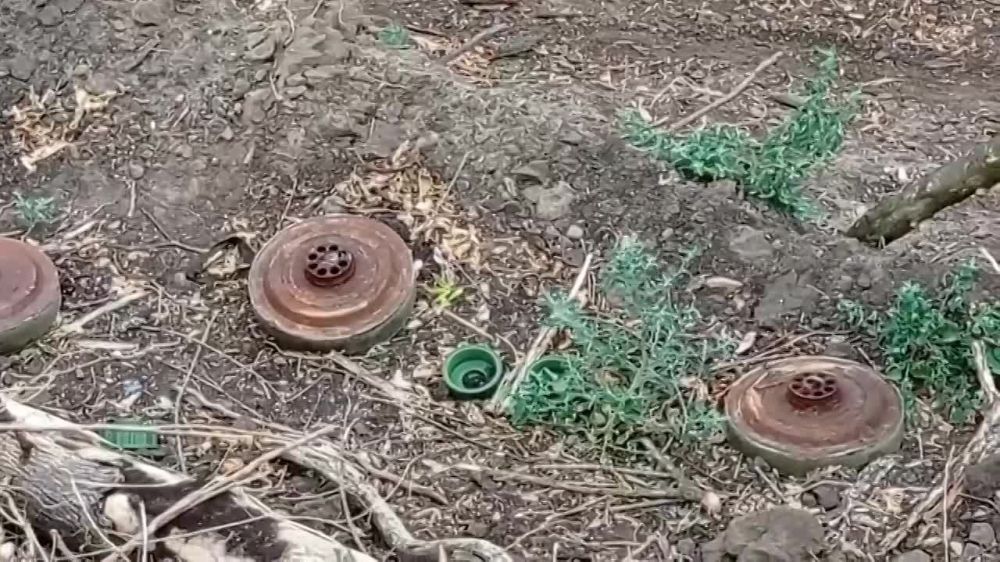 ��� 2022 ����. �� �� ��� ��������� ����� ������ �������� � ������ ����������� �������� 73 ������� ������� �������. ���������� �������� ����� �� ���� ������