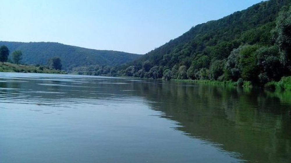 ����� �� �������: ������� �� ������ ������ � ���� � ��� ������ ��������