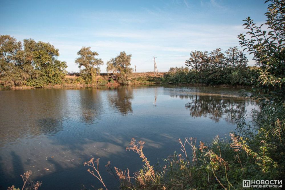 � 15 ������ �� ��� ������ �������� ������ �� �����������