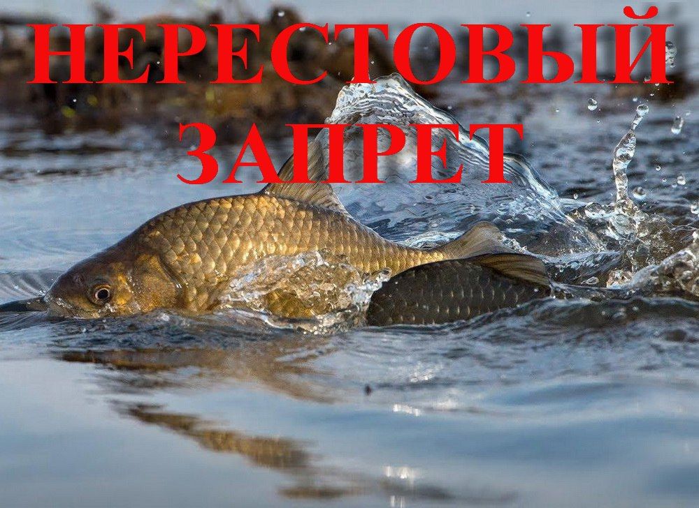 ���������� ������ � 2023