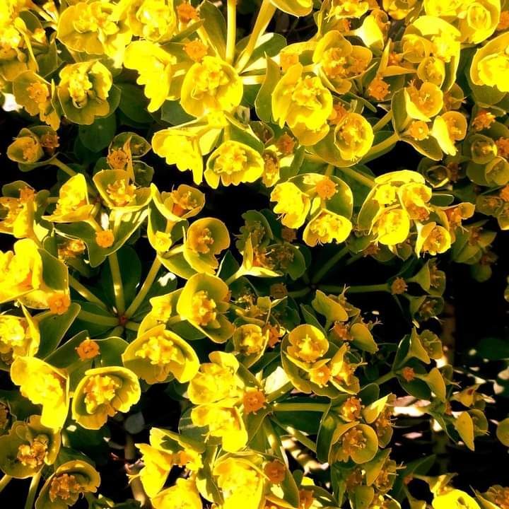 ��������. ����� ����� ������ ���������