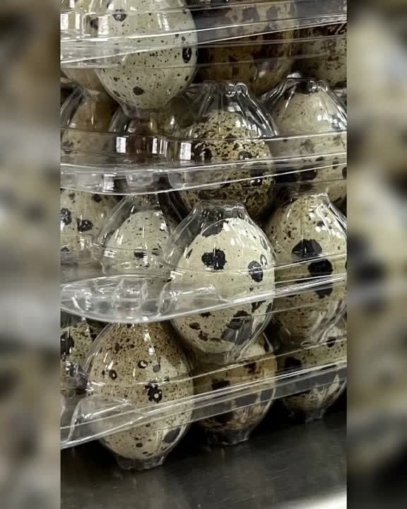 �� ����� �� ������� ����� �� �����, ������ ����� ���������� � ��, ��� ������, ��� ���� � ����� ����� ����������