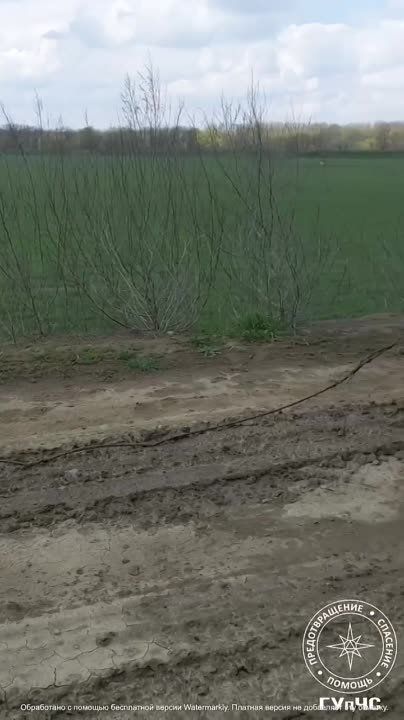 ����� �������� ����������� � ��������� �����