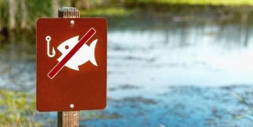 ������� � ��� ��������. � 15 ������ �� 15 ���� � ������������� �������� ���������� ������ �� �����������