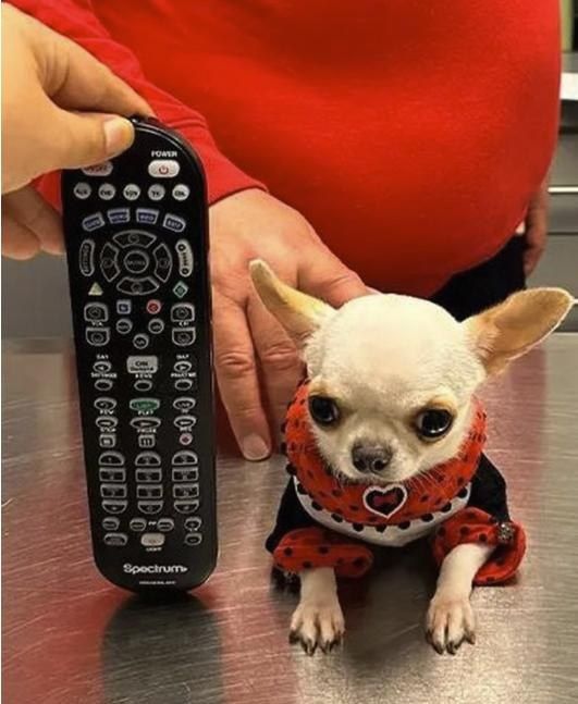 9-������������� �������� ����� ����� ��������� �������� � ����