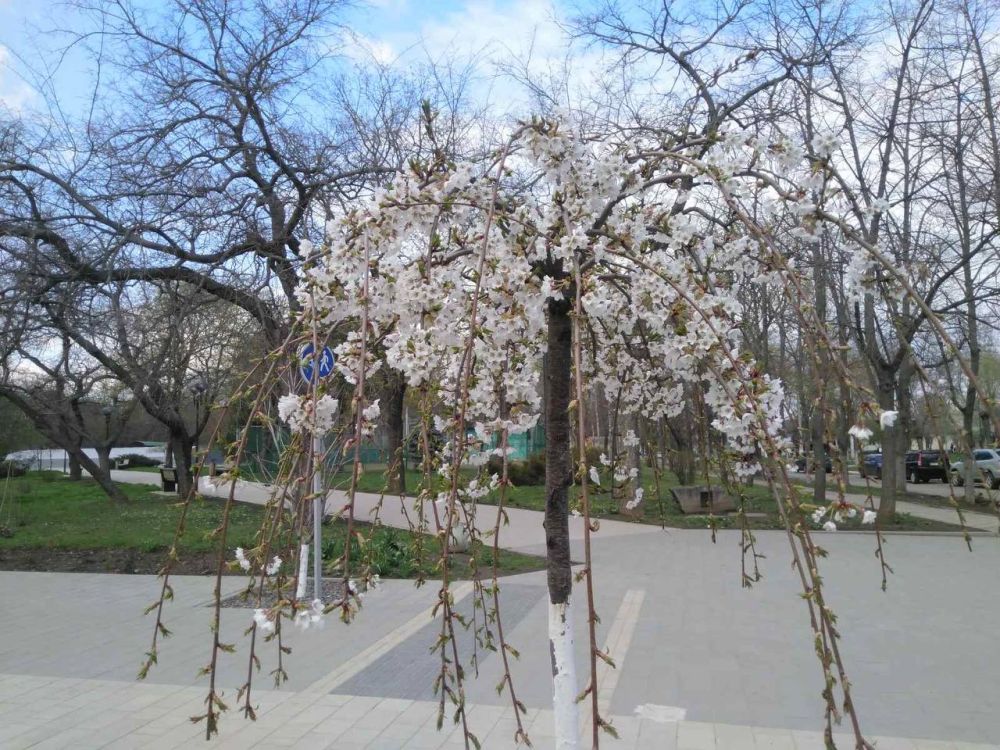 ����� � ����� ���� ��� ������ �� ������