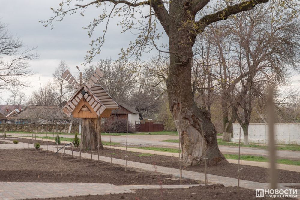 ������ ����� ������� ���������� � �������� � �������