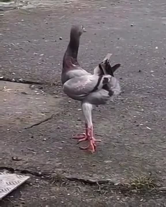 ���������� � ��������� ��� �������� ����������� ������, �������� �������� � ������� ��� ������������ � ����, �� ����� ���-�� ����� �� ���