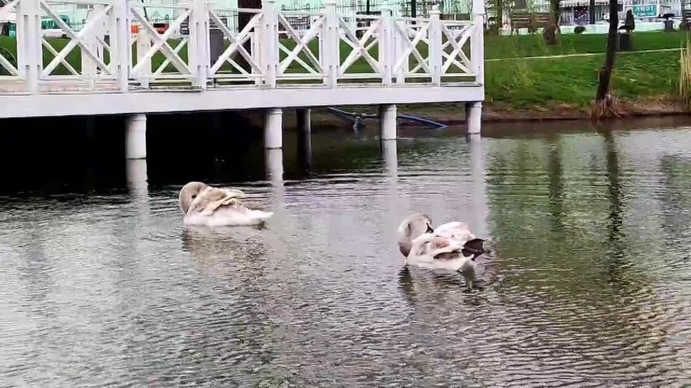 � ����� ��������������� ����� ��������� ����� ��������� - ������� ������