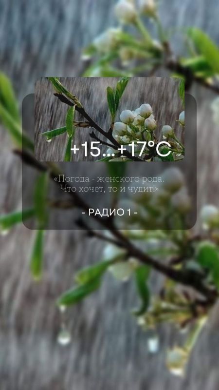 13 ������ ��������� �������� � ������������ ������, ������� ��������������� �����