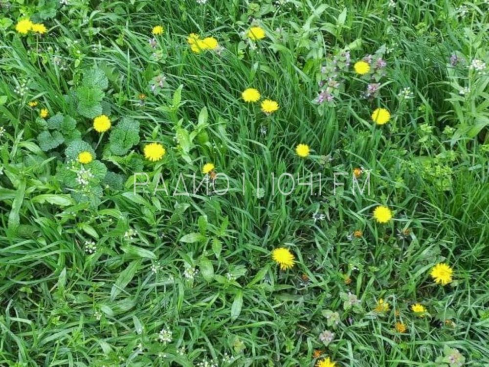 ��� ������! ��������� �����!