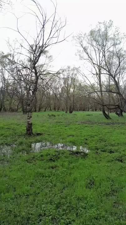 �������� �� ������. ������ ��� � ���� �������