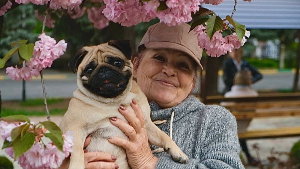 � ����������� ��������� �� ����� ������� ��� �������, �� �� �� ����� �� �������