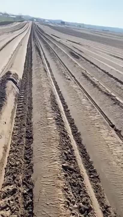 ���������� ��������� ��������� �������, � �� ���� ��� ������ ����������� ����������������