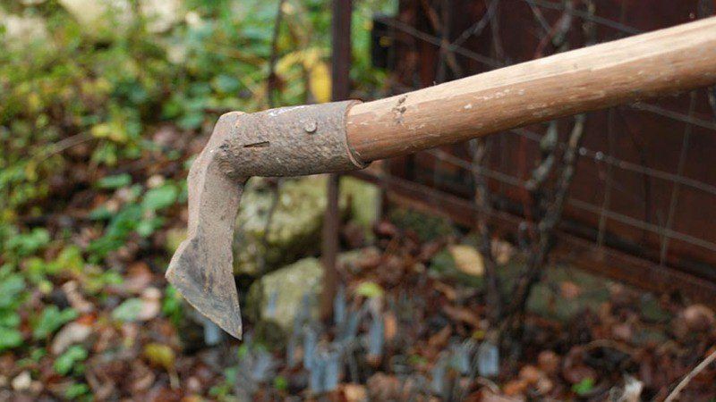 ����� ������ ����. � ��������� ������ ���������� ������. ��������� 45 ��� � ������������ ������� � ������� � ���������...