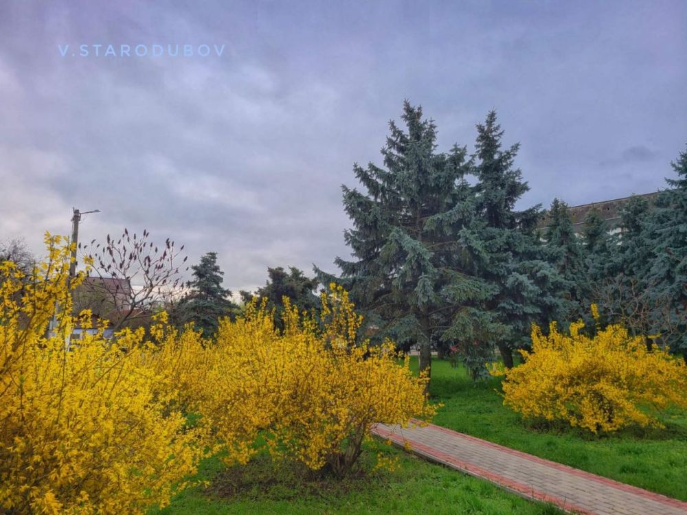 ���������. �������� �����