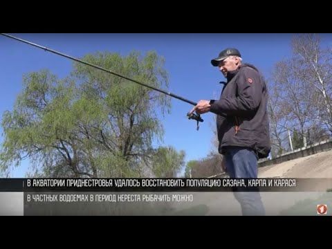 �� 15 ���� � ������� �������. � ������������� ������� ���������� ������