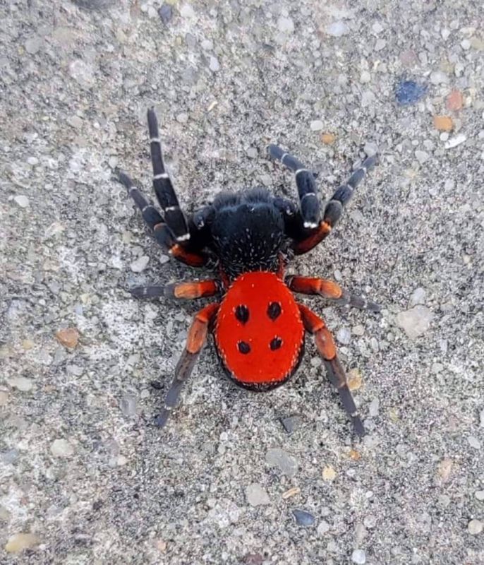 � �������� �������� ����� ��������������� �����, ������� ������� � ������������ �������� ������, ������ � ����