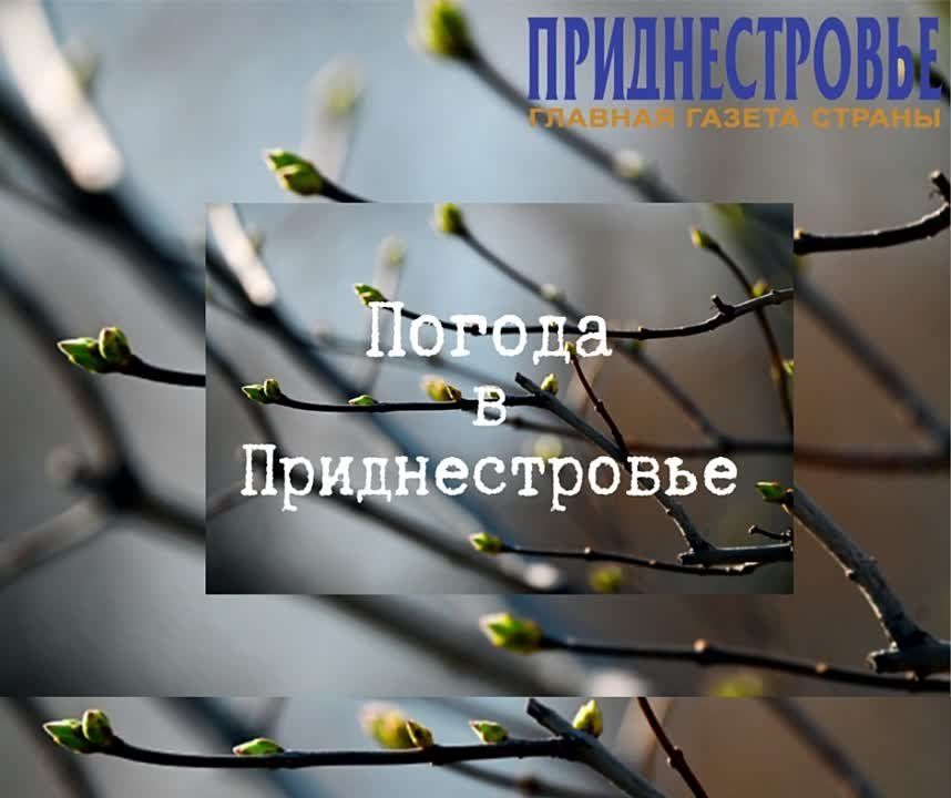 16 ������ ��������� �������� ������, ���� ������� ��������� �����