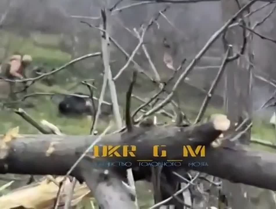 �������� �������� �������� ������ �������� ���������, �� ��� �� �� ��� ��������� ����