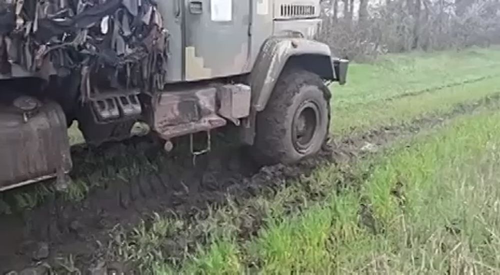 ������ ��������� ������������� ������ �� �������