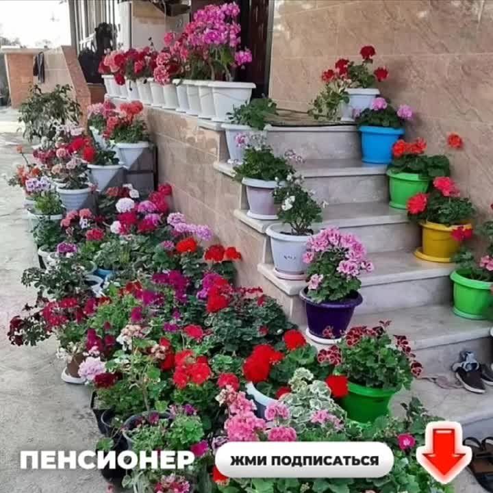 � �������� �� ����� ������, ������� � ���!