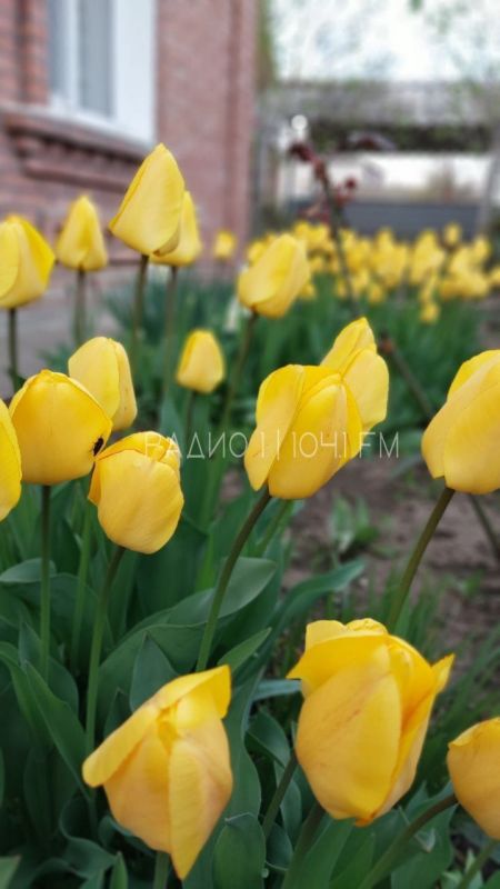 �������� ������� ������ � ����� ������!