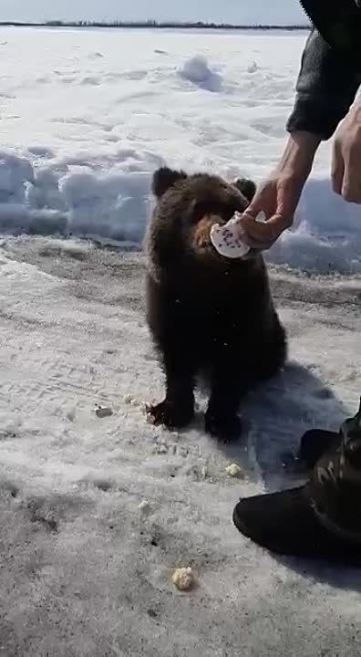 �������, ������� ���� ����� ���������� ������