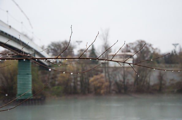 ������� ����������. ������ ����������, ������������ �� ���� ����������, ������ ������ �������