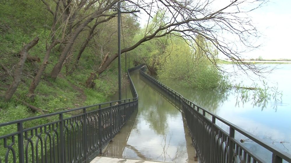 ����� �������� ����� � ����