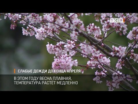 � ������������� ������� �� 5 ��� ������ ���������� �����. �� � ��� ����� ������ � �������� ���������� �� ������ � ������� � ��������� � ���������. � ���� ���� ����� �������, ����������� ����� ��������