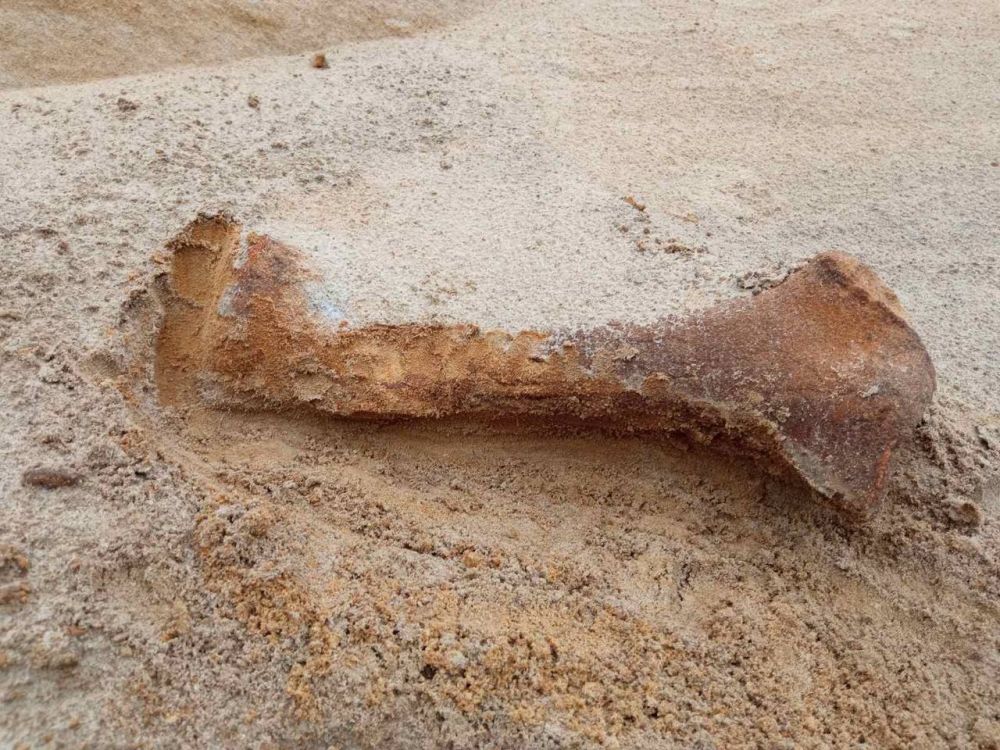 ����� �������� ����� ������ ��������� �� ���� �������� � ���� ������ ����������������� ������