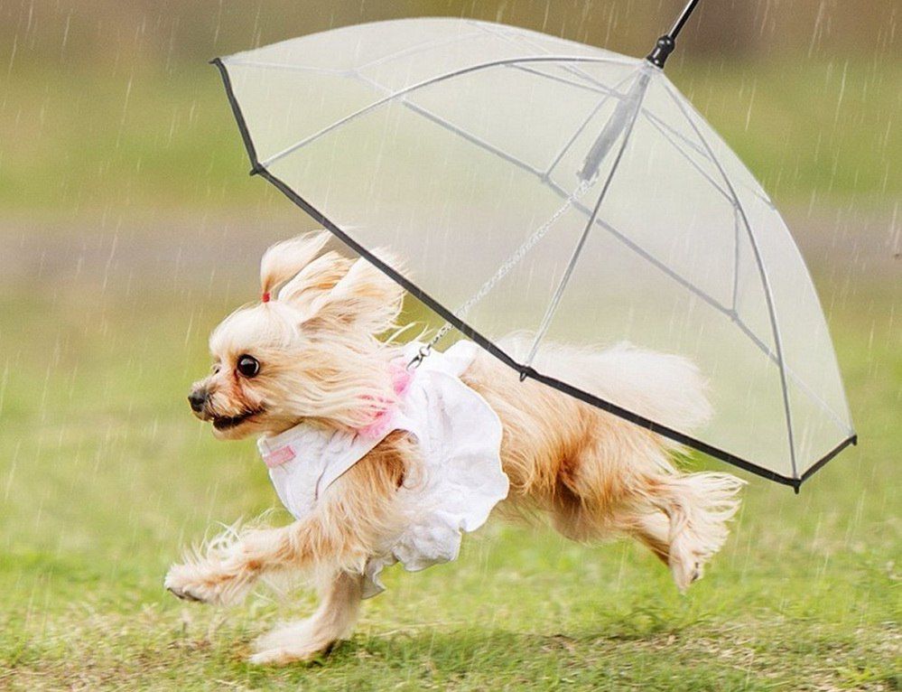 18 ������ ��������� �������� ������, ���� ������� ��������������� �����