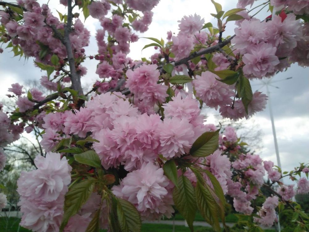 19 ������ ��������� �������� � ������������ ������, ����� � ���� ������� ��������������� �����