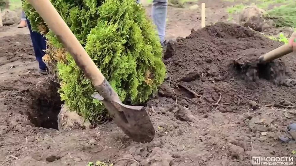 ��������������� ���������� ������� �������� � ������������� ����������� ������� � ������ ������������� ����� ���� ������