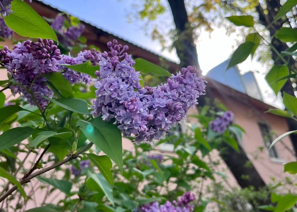 � ��������� �������� ������