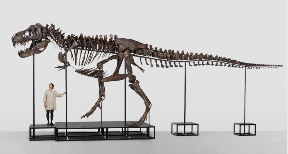 � ��������� ��������� ���������� ������� � � ������ ��� � ������� �� ����� ��� ��������� ������ ������ ������������