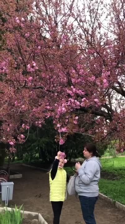 � ��������� ������ ������ ������