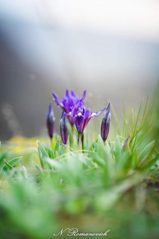 ���� ����������� �������� � �����