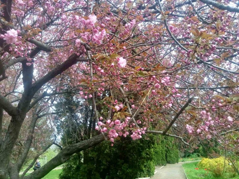 ������ � �����������. ������ ��������, ������ ��������