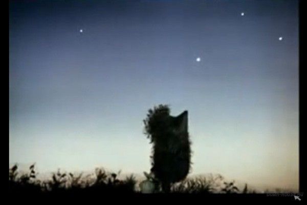 ��� ���������� ������ ������ ����� ������� � ���� �� ���� ������