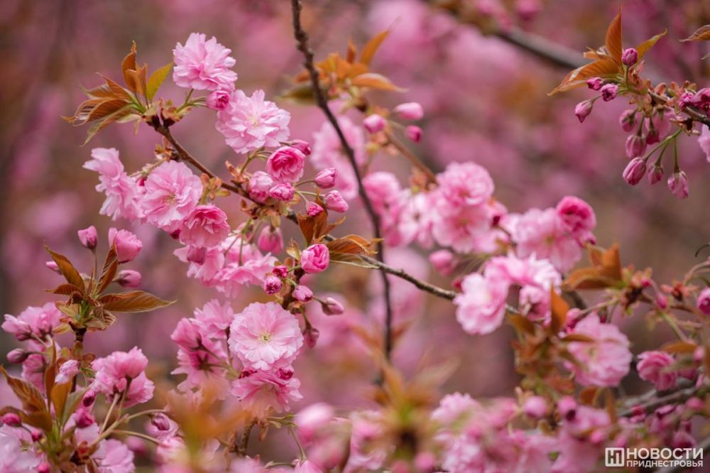 � ����������� �������� �������� � ������ ����� �� ������