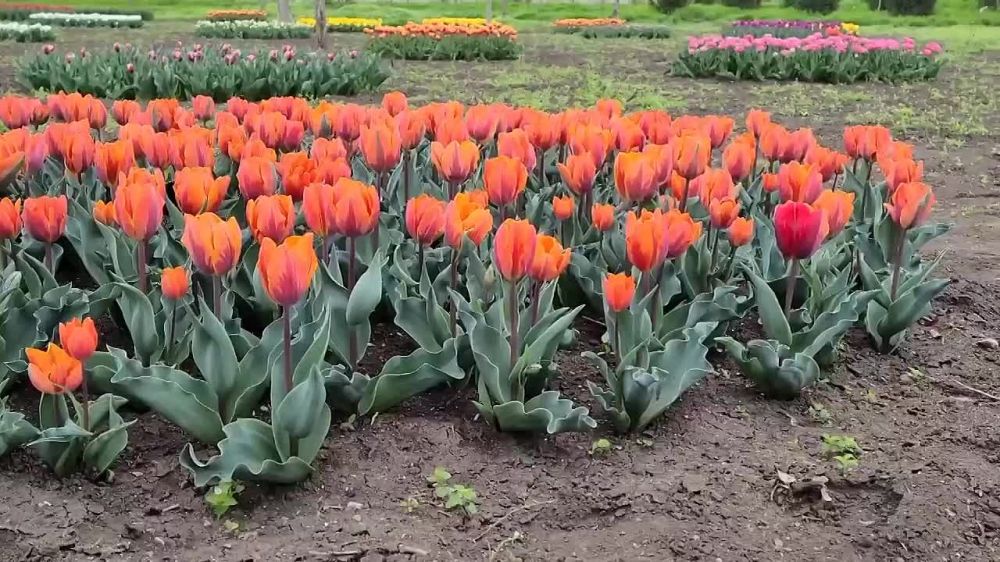 ������������ ������ � ���������� �������� � �����������