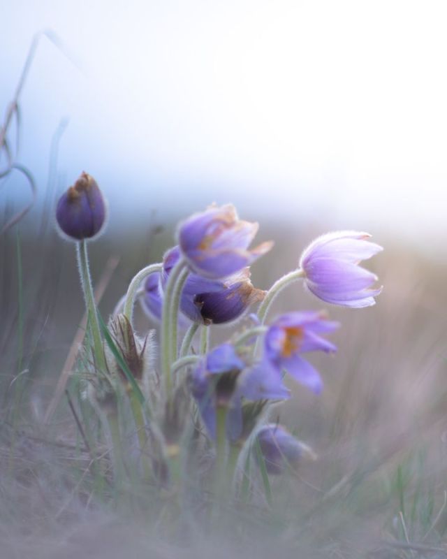 ��������� ���������� ���� �����