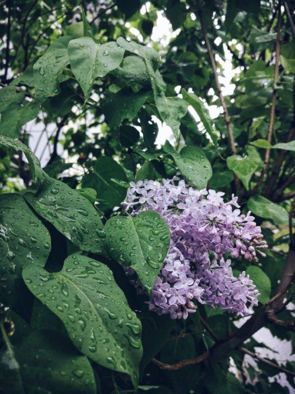 ������ 2023-�� � ����� ��������� �� ��� ������� ���������������