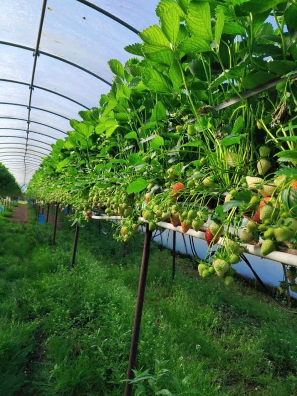 � � �������� ��� ����� ��������