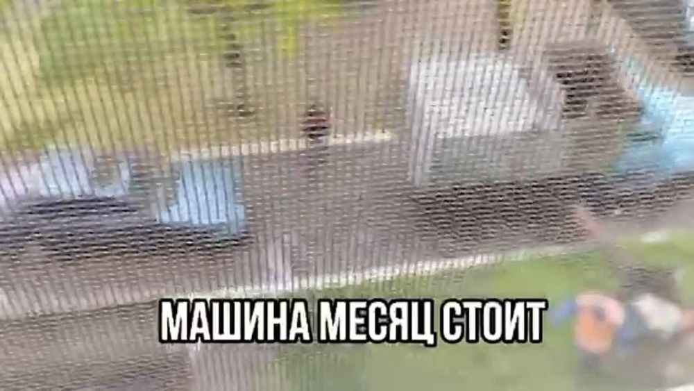 ��� ���� �� ����� ���� 3 � ���������